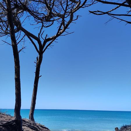 Mare Toscano Apartment Riparbella Luaran gambar