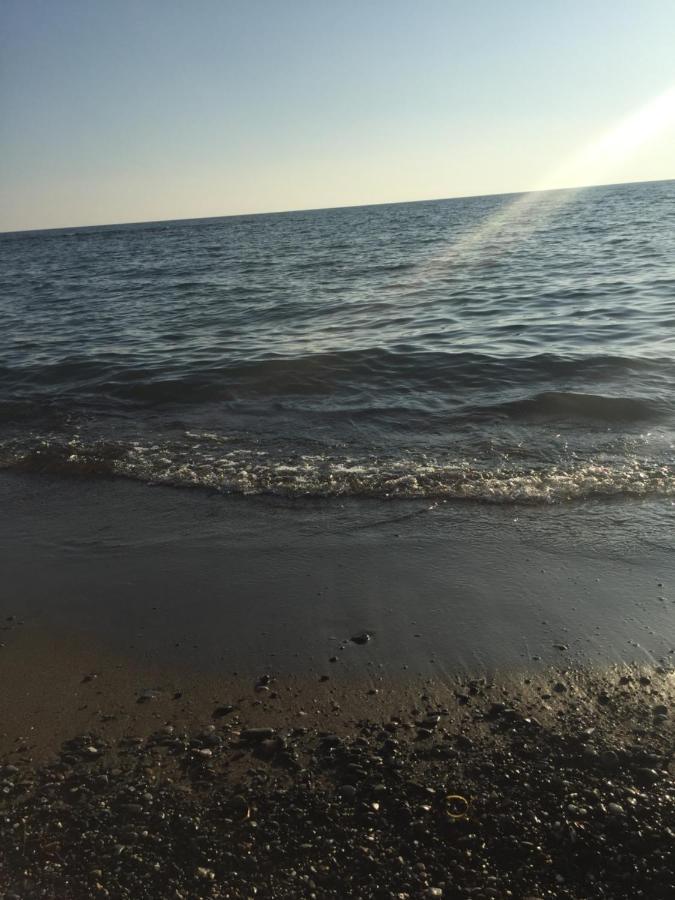 Mare Toscano Apartment Riparbella Luaran gambar