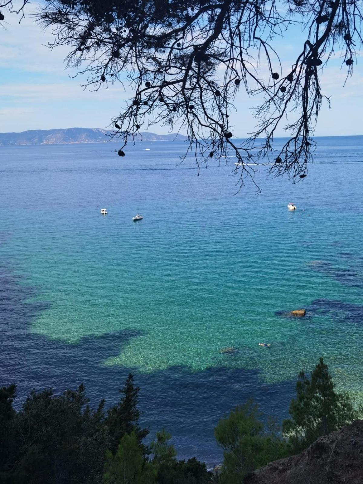 Mare Toscano Apartment Riparbella Luaran gambar