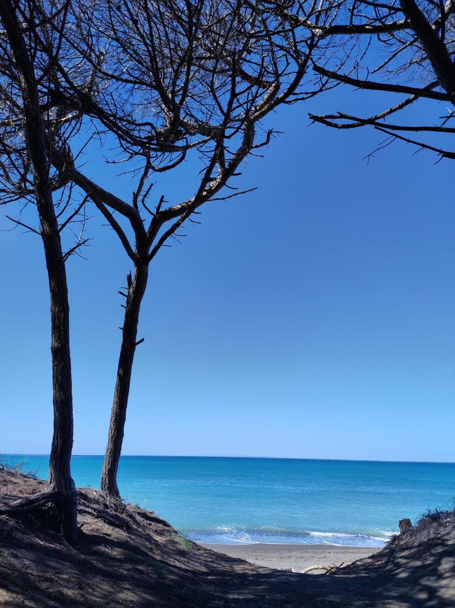 Mare Toscano Apartment Riparbella Luaran gambar
